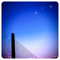 CDbridge